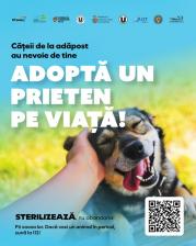 Adopta un prieten pe viata!